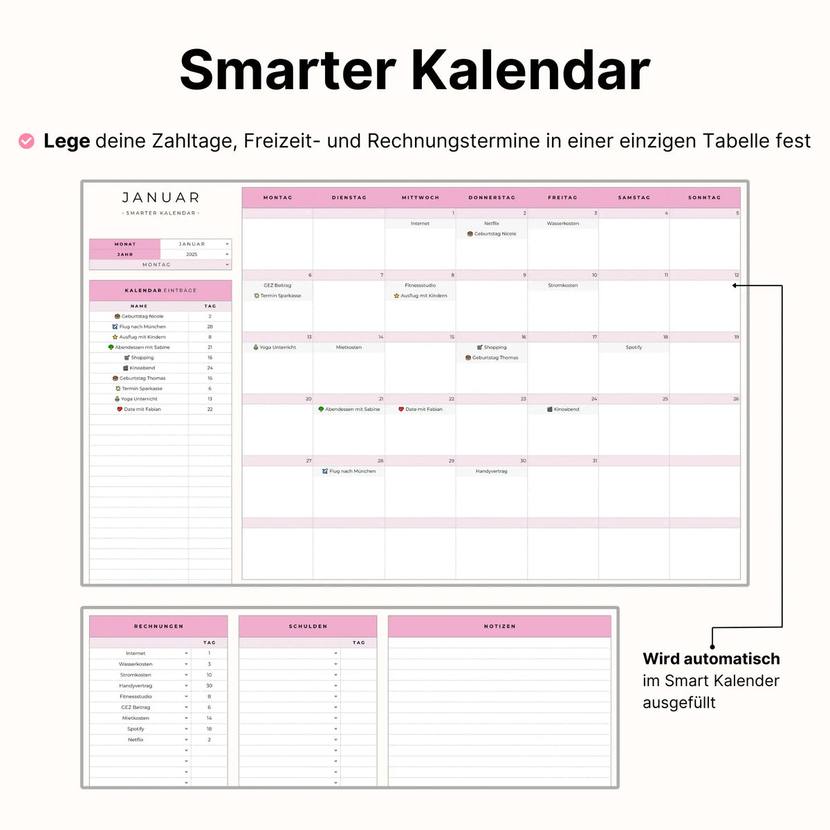 Haushaltsbuch Plus - Pink Edition